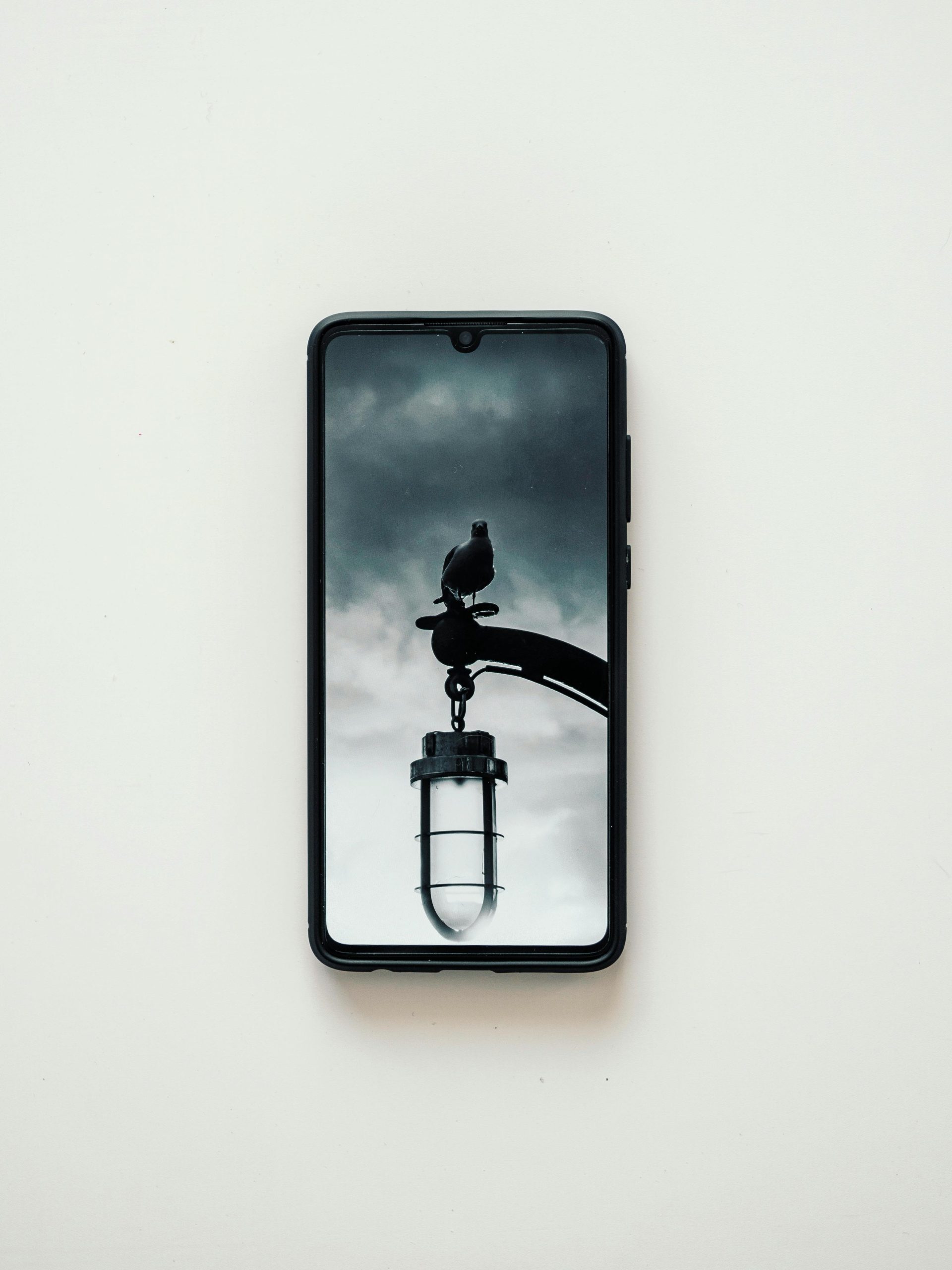 Expert Device Repairs